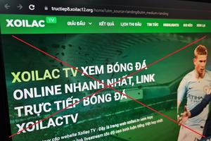 Thủ tướng chỉ đạo triệt phá các website phim lậu, kiểm tra bản quyền truyền hình