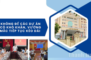 Vào cuộc đồng bộ, không để các dự án có khó khăn, vướng mắc tiếp tục kéo dài