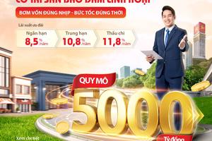 HDBank tung gói tín dụng SME Linh hoạt: Cho vay đến 100% tài sản bảo đảm, kích hoạt gói ưu đãi lãi suất, với quy mô 30.000 tỷ đồng