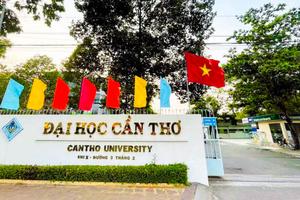 Sáp nhập một số trường cao đẳng vào đại học và thành lập phân hiệu