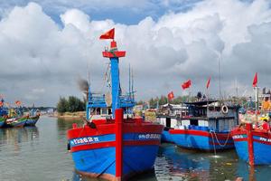 Kiện toàn Ban Chỉ đạo quốc gia về IUU