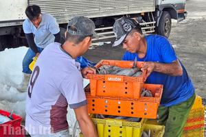 An Giang: Du lịch thu 27.888 tỷ đồng trong 4 tháng, kinh tế duy trì đà tăng trưởng tích cực