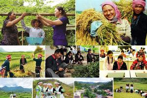 Thủ tướng chỉ đạo đẩy mạnh thực hiện Chiến lược công tác dân tộc đến năm 2030