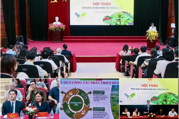 Bàn giải pháp để đưa dược liệu trở thành ngành kinh tế mũi nhọn, phát triển bền vững