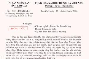 Kiểm tra để phòng ngừa, giảm nhẹ thiệt hại do thiên tai ở Lào Cai