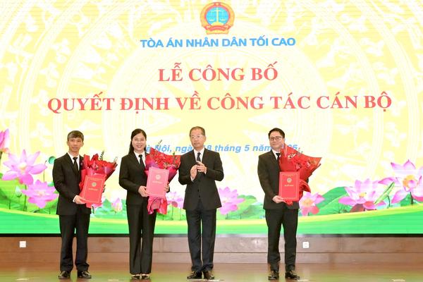 Tòa án Nhân dân Tối cao bổ nhiệm Phó Chánh Thanh tra