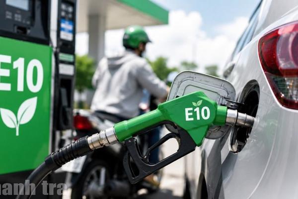 Thực hiện nghiêm túc việc chuyển đổi sang xăng sinh học E10 kể từ ngày 1/6/2026