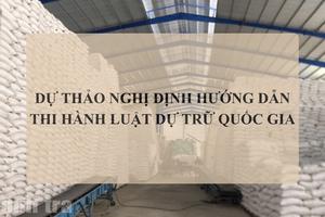 Góp ý nội dung liên quan thanh tra, kiểm tra tại Dự thảo Nghị định hướng dẫn thi hành Luật Dự trữ quốc gia