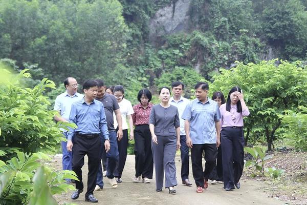 Tuyên Quang: Kiểm tra, giám sát toàn diện việc vận hành chính quyền địa phương 2 cấp