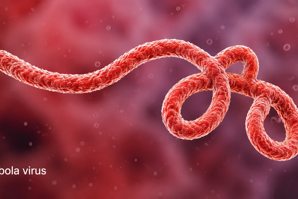 Việt Nam lập “phòng tuyến” Ebola trước nguy cơ dịch xâm nhập