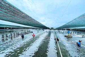 Cà Mau kỳ vọng khoa học, công nghệ tạo động lực tăng trưởng giai đoạn 2026–2030