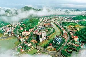 Sơn La kiến nghị xử lý việc 698 hồ sơ thi tuyển công chức bị ghi nhận quá hạn
