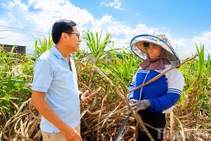 Bài 2: Nông dân chật vật vì giá thấp, mất mùa