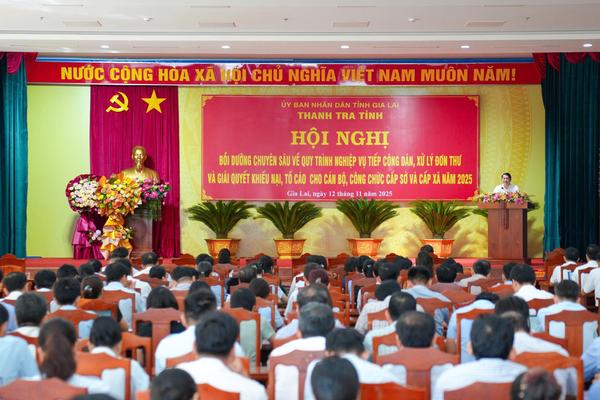 Gia Lai: Vì sao khiếu nại đất đai chiếm gần 84% tổng số đơn thư?