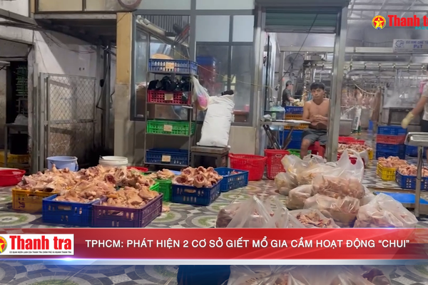 TPHCM: Phát hiện 2 cơ sở giết mổ gia cầm hoạt động “chui”