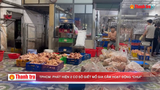 TPHCM: Phát hiện 2 cơ sở giết mổ gia cầm hoạt động “chui”