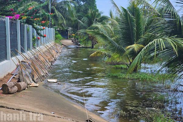 Cà Mau đặt mục tiêu xử lý 100 điểm sạt lở ven sông, ven biển trong năm 2026