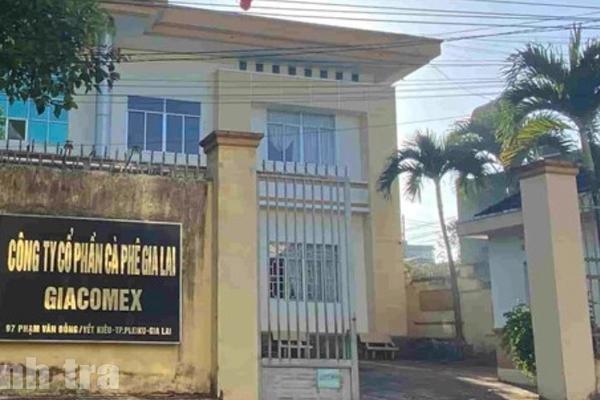 Cổ phần hóa Công ty TNHH MTV Cà phê Gia Lai: Thất thoát hơn 26,7 tỷ đồng và những khiếu kiện kéo dài chưa có hồi kết