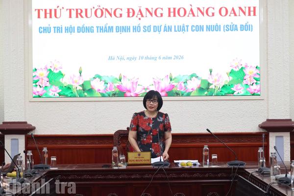 Bảo đảm quyền của trẻ em và phòng, chống tiêu cực trong nuôi con nuôi