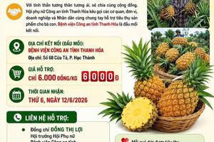 Thanh Hoá: Công an giúp nông dân tiêu thụ hơn 14 tấn dứa