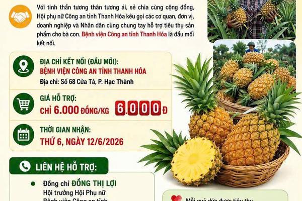 Thanh Hoá: Công an giúp nông dân tiêu thụ hơn 14 tấn dứa
