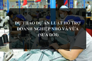 Thanh tra Chính phủ góp ý hoàn thiện hồ sơ dự án Luật Hỗ trợ doanh nghiệp nhỏ và vừa (sửa đổi)