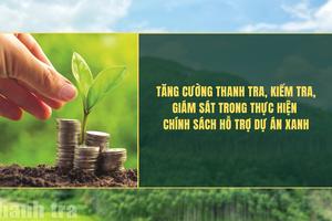 Tăng cường thanh tra, kiểm tra, giám sát trong thực hiện chính sách hỗ trợ dự án xanh