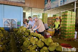 Nông sản Đắk Lắk trước yêu cầu nâng chuẩn từ thị trường tỷ dân