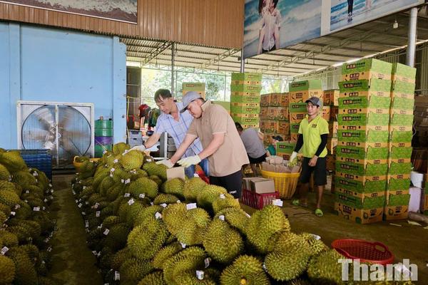 Nông sản Đắk Lắk trước yêu cầu nâng chuẩn từ thị trường tỷ dân