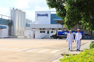 Vinamilk tiếp tục là đại diện duy nhất của ngành sữa Việt Nam trong Fortune 500 Đông Nam Á