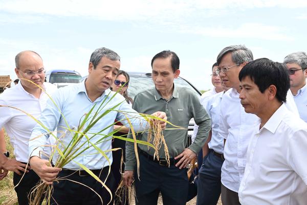 Chuyến thăm Cuba của Bộ trưởng Lê Hoài Trung để lại dấu ấn đậm nét về tình đoàn kết Việt Nam - Cuba