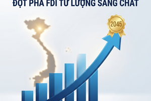 Bài 1: Đột phá FDI từ lượng sang chất