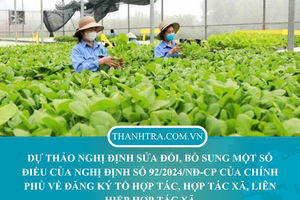 Hoàn thiện cơ chế thanh tra, kiểm tra đối với tổ hợp tác, hợp tác xã