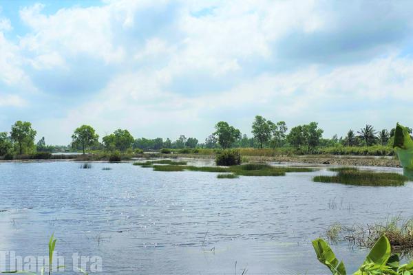 Cà Mau: Thanh tra tỉnh kiến nghị chấm dứt hoạt động 1 trong 2 dự án của Công ty CP Đầu tư Xây lắp 6