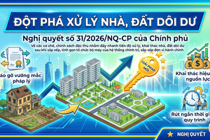 Nghị quyết 31 của Chính phủ tạo đột phá xử lý cơ sở nhà, đất dôi dư