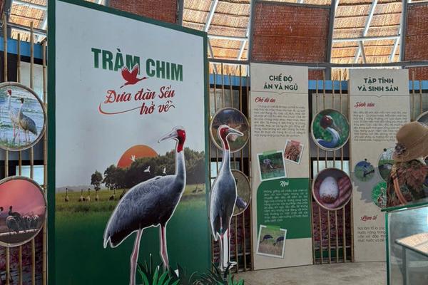Đồng Tháp dự kiến đầu tư 700 tỷ đồng xây dựng Bảo tàng Đồng Tháp Mười