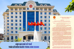 Từ chủ động rà soát mã số thuế đến gỡ vướng kinh doanh
