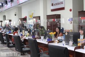 Tây Ninh: Cắt giảm thời gian giải quyết 390 thủ tục hành chính trong nửa đầu năm 2026