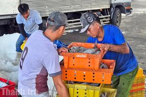 An Giang đặt mục tiêu tăng trưởng từ 11%/năm, hướng tới trung tâm kinh tế biển mạnh