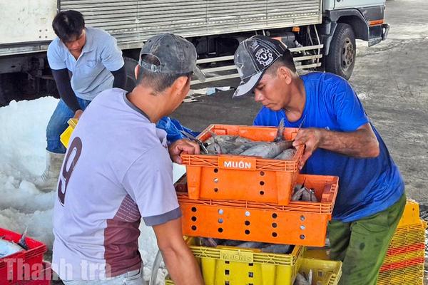 An Giang đặt mục tiêu tăng trưởng từ 11%/năm, hướng tới trung tâm kinh tế biển mạnh