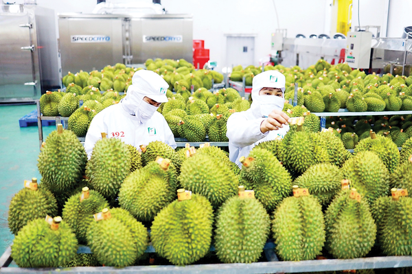 Xây dựng chuỗi giá trị bền vững để nông sản chinh phục thị trường tỷ dân