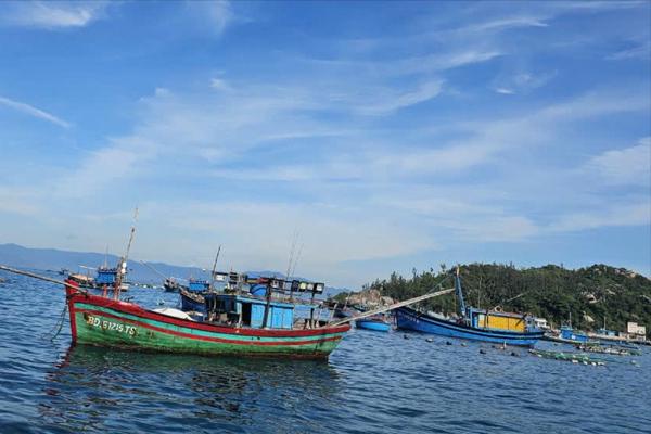 Gia Lai kiên quyết không để tàu cá "3 không" rời bến