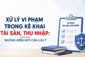 Xử lý vi phạm trong kê khai tài sản, thu nhập: Những điểm mới cần lưu ý
