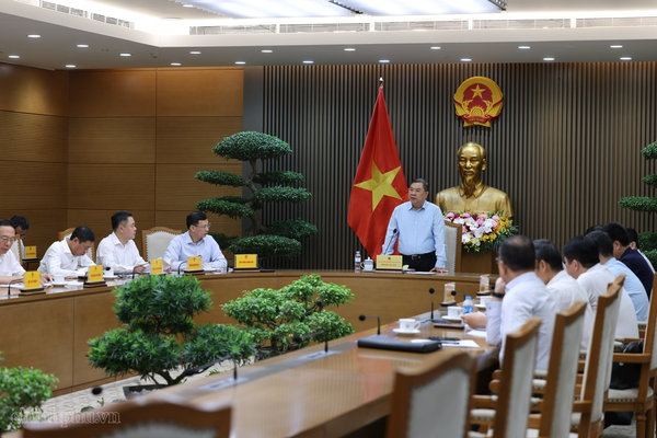 Sớm trình cấp có thẩm quyền điều chỉnh chủ trương đầu tư Dự án điện hạt nhân Ninh Thuận