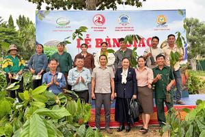 Cacao Land bàn giao hơn 17.600 cây giống, mở rộng vùng nguyên liệu ca cao tại Đắk Lắk