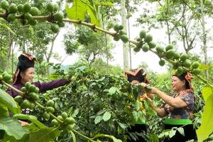 Đánh thức tiềm năng, nâng tầm giá trị nông sản