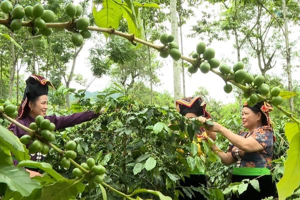 Đánh thức tiềm năng, nâng tầm giá trị nông sản