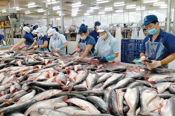 Xuất khẩu thủy sản sang thị trường tỷ dân đạt gần 1,4 tỷ USD