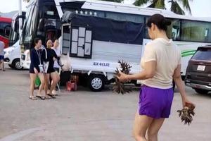 Khánh Hòa ngăn chặn phá hoại san hô tại khu vực Hòn Chồng