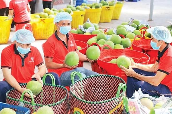 Kiến tạo động lực tăng trưởng mới cho nông nghiệp “cất cánh”